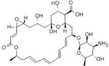 Pimaricin