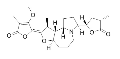 Protostemonine