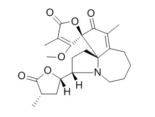 Protostemotinine