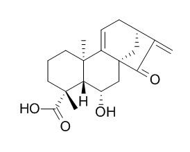 Pterisolic acid B