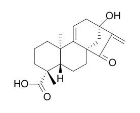 Pterisolic acid C