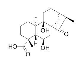 Pterisolic acid D