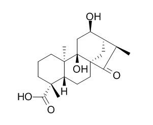 Pterisolic acid E