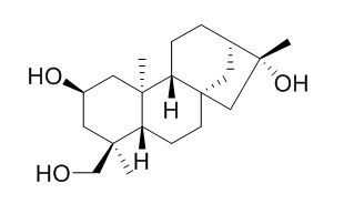 Pterokaurane R