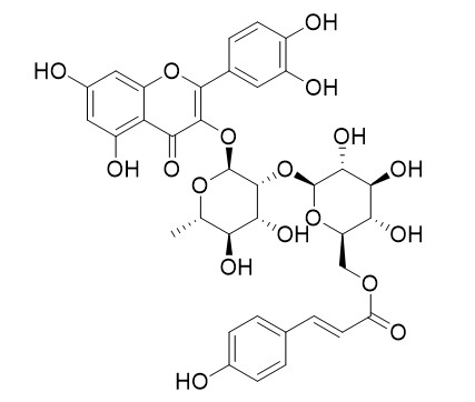 Quercetin 3-O-beta-(6''-p-coumaroyl)glucopyranosyl(1->2)-alpha-L-rhamnopyranoside