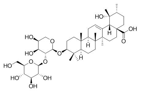 Ilexside I