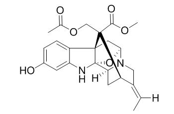 Rauvoyunine B