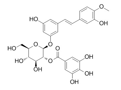 Rhaponticin 2''-O-gallate