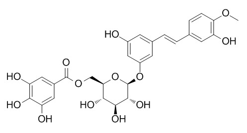 Rhaponticin 6''-O-gallate