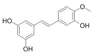 Rhapontigenin