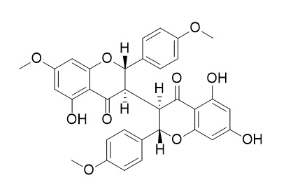 Ruixianglangdusu B