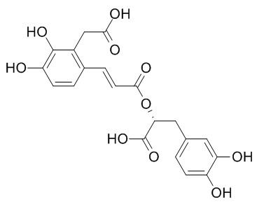 Salvianolic acid D