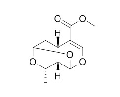 Sarracenin