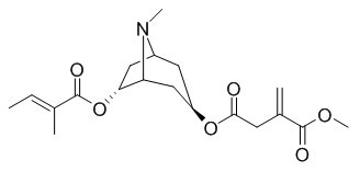 Schizanthine G