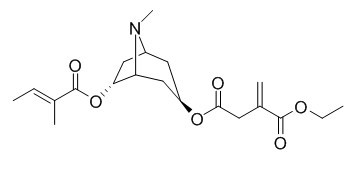 Schizanthine M