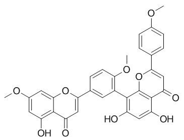 Sciadopitysin