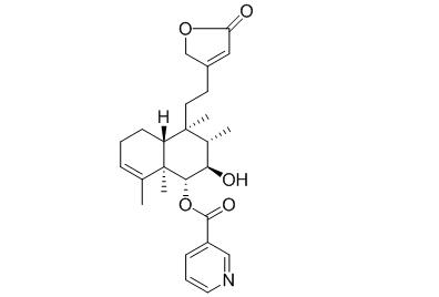 Scutebarbatine Z