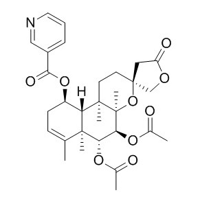 Scutebata F