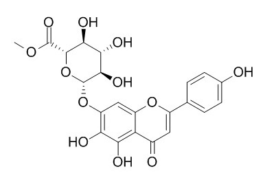 Scutellarin methylester