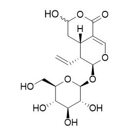 Secologanic acid