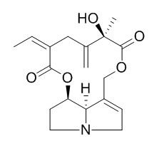 Seneciphylline