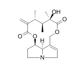 Senecivernine