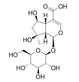 Shanzhiside