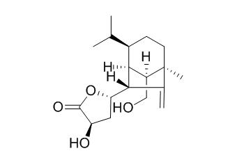 Sorokinianin