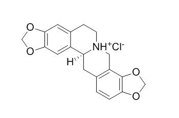 Stylopine hydrochloride