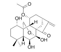 Taibaihenryiins A