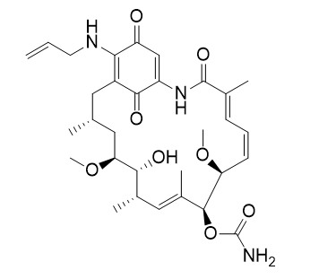 Tanespimycin (17-AAG)