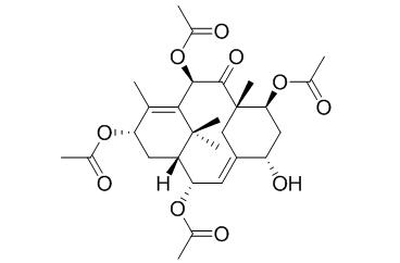 Taxin B