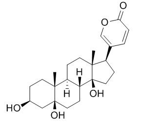 Telocinobufagin