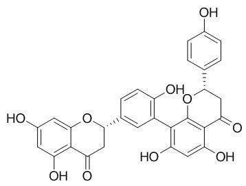 Tetrahydroamentoflavone