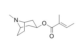 Tigloidine