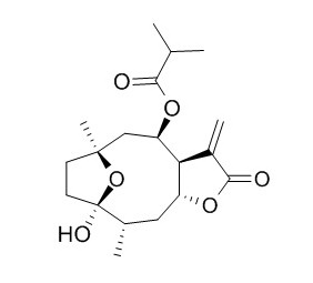 Tirotundin