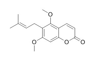 Toddaculine