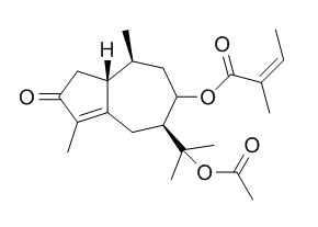 Torilin