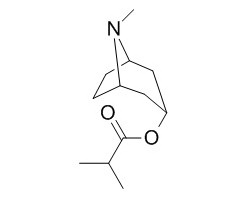 Tropine isobutyrate