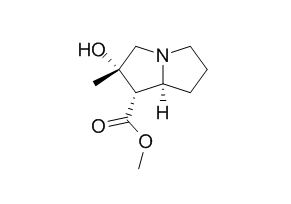 Tussilagine