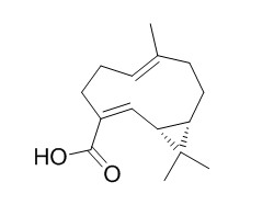 Volvalerenic acid A