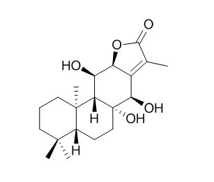 Yuexiandajisu E