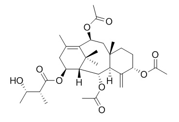 Yunnanxane