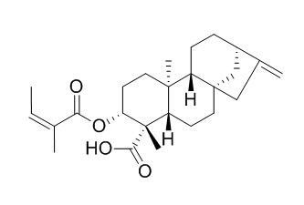 ent-3Beta-Angeloyloxykaur-16-en-19-oic acid